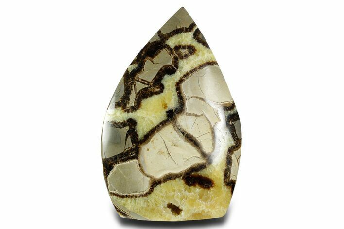 Free-Standing Polished Septarian - Madagascar #361974